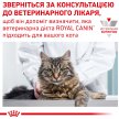 Фото - ветеринарні корми Royal Canin URINARY S/O LP34 (УРІНАРІ) сухий лікувальний корм для котів від 1 року