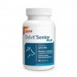Фото - витамины и минералы Dolfos (Дольфос) DOLVIT SENIOR PLUS (ДОЛВИТ СЕНЬОР ПЛЮС) витаминно-минеральный комплекс для пожилых собак