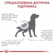 Фото 5 - ветеринарные корма Royal Canin RENAL RF14 (РЕНАЛ) сухой лечебный корм для собак