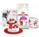 Фото - сухой корм Royal Canin EXIGENT SAVOUR (ЕКСИДЖЕНТ САВО ДЛЯ ПРИВЕРЕДЛИВЫХ) сухой корм для взрослых кошек