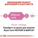 Фото 3 - замінники котячого молока Royal Canin BABYCAT MILK (БЕБІКЕТ МІЛК) замінник молока для кошенят