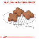 Фото - сухий корм Royal Canin MINI ADULT 8+ (СОБАКИ ДРІБНИХ ПОРІД ЕДАЛТ 8+) корм для собак від 8 років