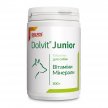 Фото 2 - витамины и минералы Dolfos (Дольфос) DOLVIT JUNIOR (ДОЛВИТ ЮНИОР) витаминно-минеральная добавка для щенков