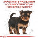 Фото - сухий корм Royal Canin YORKSHIRE TERRIER PUPPY (ЙОРКШИР ТЕР'ЄР ПАППІ) корм для цуценята до 10 місяців