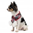 Фото - одежда Pet Fashion Happy шарф для собак