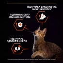 Фото - сухой корм Purina Pro Plan (Пурина Про План) Adult Sterilised Vital Functions Salmon сухой корм для стерилизованных кошек ЛОСОСЬ