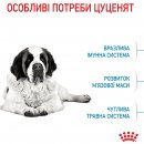 Фото - сухой корм Royal Canin GIANT JUNIOR (ЮНИОРЫ ГИГАНТСКИХ ПОРОД) корм для щенков от 8-24 месяцев