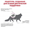 Фото - ветеринарные корма Royal Canin EARLY RENAL FELINE корм для кошек при ранней стадии почечной недостаточности