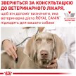 Фото - ветеринарные корма Royal Canin URINARY лечебный влажный корм для собак при мочекаменной болезни