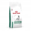 Фото 2 - ветеринарные корма Royal Canin Glycobalance сухой лечебный корм для собак при сахарном диабете