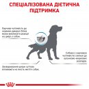 Фото - ветеринарні корми Royal Canin ANALLERGENIC (АНАЛЕРДЖЕНИК) сухий лікувальний корм для собак