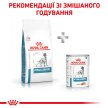 Фото - ветеринарные корма Royal Canin HYPOALLERGENIC (ГИПОАЛЛЕРГЕННЫЙ) сухой лечебный корм для собак