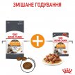 Фото - сухий корм Royal Canin HAIR&SKIN CARE (ХЕЙЄР ЕНД СКІН КЕА) сухий корм для дорослих кішок