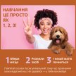 Фото 4 - коррекция поведения OUT! Go Here Attractant Training Spray спрей для приучения к туалету для собак
