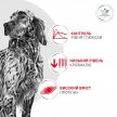 Фото 4 - ветеринарные корма Royal Canin Glycobalance сухой лечебный корм для собак при сахарном диабете