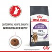 Фото 4 - сухий корм Royal Canin APPETITE CONTROL (АПЕТИТ КОНТРОЛЬ) корм для стерилізованих кішок від 1 до 7 років