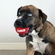 Фото 2 - Категории Kong Signature Sport Balls мячики для собак