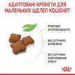 Фото - сухой корм Royal Canin KITTEN STERILISED (КИТТЕН СТЕРИЛИЗЕД) корм для стерилизованных котят от 6 до 12 месяцев