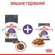 Фото 9 - сухий корм Royal Canin APPETITE CONTROL (АПЕТИТ КОНТРОЛЬ) корм для стерилізованих кішок від 1 до 7 років