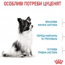 Фото - сухой корм Royal Canin X-SMALL PUPPY (ЩЕНКИ МЕЛКИХ ПОРОД) корм для щенков до 10 месяцев