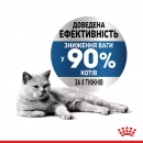 Фото - влажный корм (консервы) Royal Canin LIGHT WEIGHT Loaf влажный корм для кошек