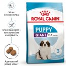 Фото - сухий корм Royal Canin GIANT PUPPY корм для цуценята гігантських порід від 2 до 8 місяців