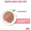 Фото 5 - влажный корм (консервы) Royal Canin MOTHER & BABYCAT (БЕБИКЕТ ИНСТИНКТИВ) Влажный корм для котят с рождения до 4 месяцев