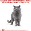 Фото - сухий корм Royal Canin BRITISH SHORTHAIR (БРИТАНСЬКА КОРОТКОШЕРСНА) корм для кішок