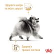 Фото - сухой корм Royal Canin POMERANIAN ADULT (ПОМЕРАНСКИЙ ШПИЦ) корм для собак от 8 месяцев