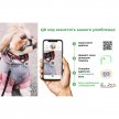 Фото 10 - амуніція Collar WAUDOG Nylon нейлоновий нашийник для собак з QR-адресою, пластиковий фастекс, ЛУСКА