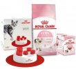 Фото - сухий корм Royal Canin KITTEN (КІТТЕН) корм для кошенят до 12 місяців