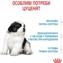 Фото - сухой корм Royal Canin GIANT PUPPY корм для щенков гигантских пород от 2 до 8 месяцев