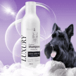 Фото 3 - щоденний догляд (шампуні, кондиціонери та інші засоби) Modes Luxury Shampoo преміальний шампунь для котів і собак із чорною шерстю