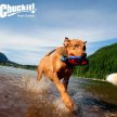 Фото 3 - игрушки CHUCKIT Zipflight игрушка для собак ЛЕТАЮЩИЙ ДИСК