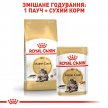 Фото - сухий корм Royal Canin MAINE COON (МЕЙН-КУН) корм для кішок від 1 року