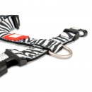 Фото - амуніція Max & Molly Urban Pets H-Harness шлея для собаки Zebra