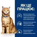 Фото 4 - ветеринарні корми Hill's Prescription Diet C/D Multicare Urinary Care корм для кішок з куркою