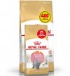 Фото - сухой корм Royal Canin Kitten BRITISH SHORTHAIR (БРИТАНСКАЯ КОРОТКОШЕРСТНАЯ КИТТЕН) корм для котят до 12 месяцев