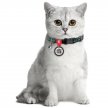 Фото 3 - шлейки, ошейники Collar WAUCAT Nylon нейлоновый ошейник для кошек с QR адресником, пластиковый фастекс, ЧЕШУЯ