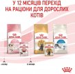 Фото 12 - влажный корм (консервы) Royal Canin KITTEN INSTINCTIVE in GRAVY влажный корм для котят в возрасте 4-12 месяцев