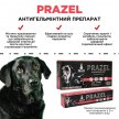 Фото 4 - от глистов Modes Prazel антигельминтная суспензия для кошек и собак