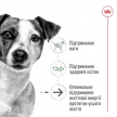 Фото - сухий корм Royal Canin MINI AGEING 12+ (СОБАКИ ДРІБНИХ ПОРІД ЕЙДЖИН 12+) корм для собак від 12 років