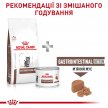 Фото 7 - ветеринарні корми Royal Canin GASTROINTESTINAL KITTEN ветеринарна дієта для кошенят від 2 до 10 місяців при порушеннях травлення