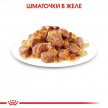 Фото - влажный корм (консервы) Royal Canin STERILISED in LOAF консервированный корм для стерилизованных кошек