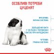 Фото 13 - сухой корм Royal Canin GIANT PUPPY корм для щенков гигантских пород от 2 до 8 месяцев