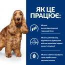 Фото - ветеринарные корма Hill's Prescription Diet Canine z/d Food Sensitivities корм для собак с чувствительным пищеварением