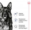 Фото 5 - сухий корм Royal Canin MAXI ADULT 5+ (СОБАКИ ВЕЛИКИХ ПОРІД ЕДАЛТ 5+) корм для собак від 5 років