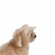 Фото 4 - одяг Pet Fashion Glamour кепка для собак