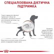Фото 4 - ветеринарні корми Royal Canin GASTROINTESTINAL GI25 (ГАСТРО ІНТЕСТИНАЛ) сухий лікувальний корм для собак