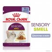 Фото - влажный корм (консервы) Royal Canin SENSORY SMELL JELLY консервы для кошек привередливых к аромату